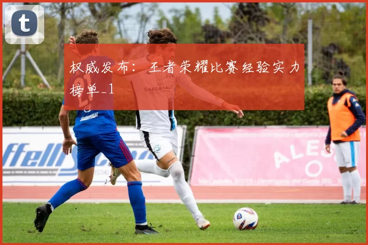 权威发布：王者荣耀比赛经验实力榜单_1