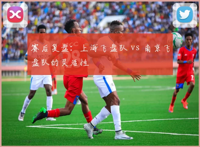 赛后复盘：上海飞盘队 vs 南京飞盘队的灵活性