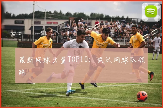最新网球力量TOP10：武汉网球队领跑