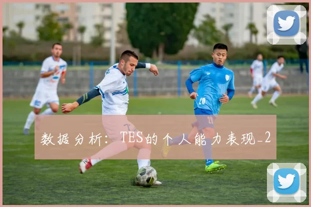数据分析：TES的个人能力表现_2