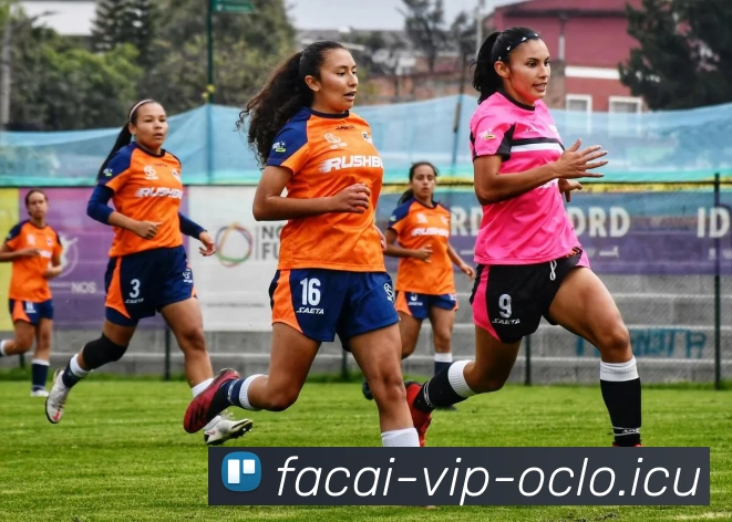 乐鱼体育发展历程