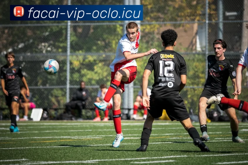 北京排球队实力分析与发展潜力的深度探讨与展望